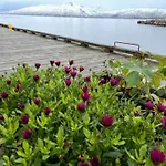2. Etg I Dampskipsbrygga, Havn *