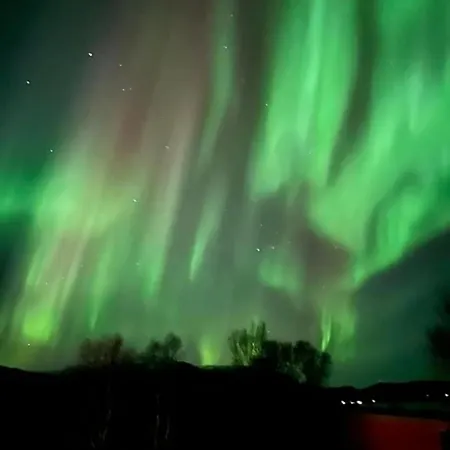 Apartamento 2. Etg I Dampskipsbrygga, Havn Lodingen