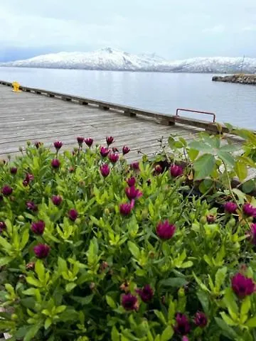 2. Etg I Dampskipsbrygga, Havn *