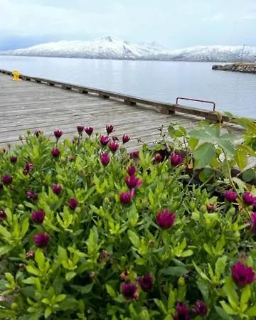 2. Etg I Dampskipsbrygga, Havn *