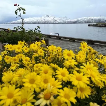 Lägenhet 2. Etg I Dampskipsbrygga, Havn *